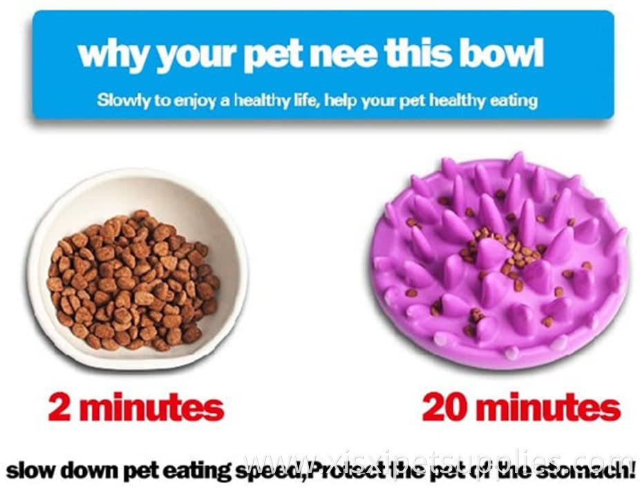 Intricate Personalized Slow Eating Dog Pet Feed Bowl